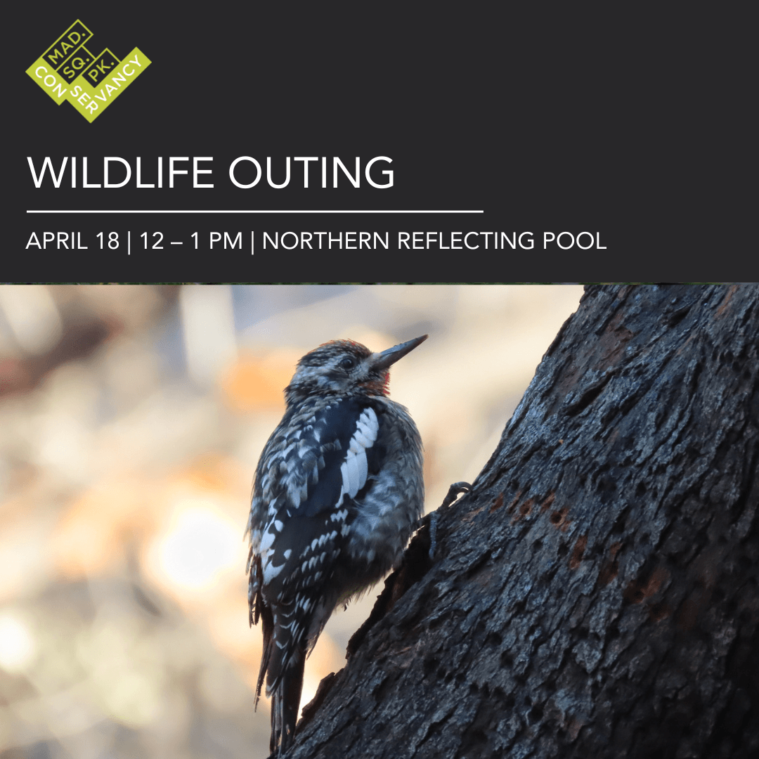 Website Event Images (9)