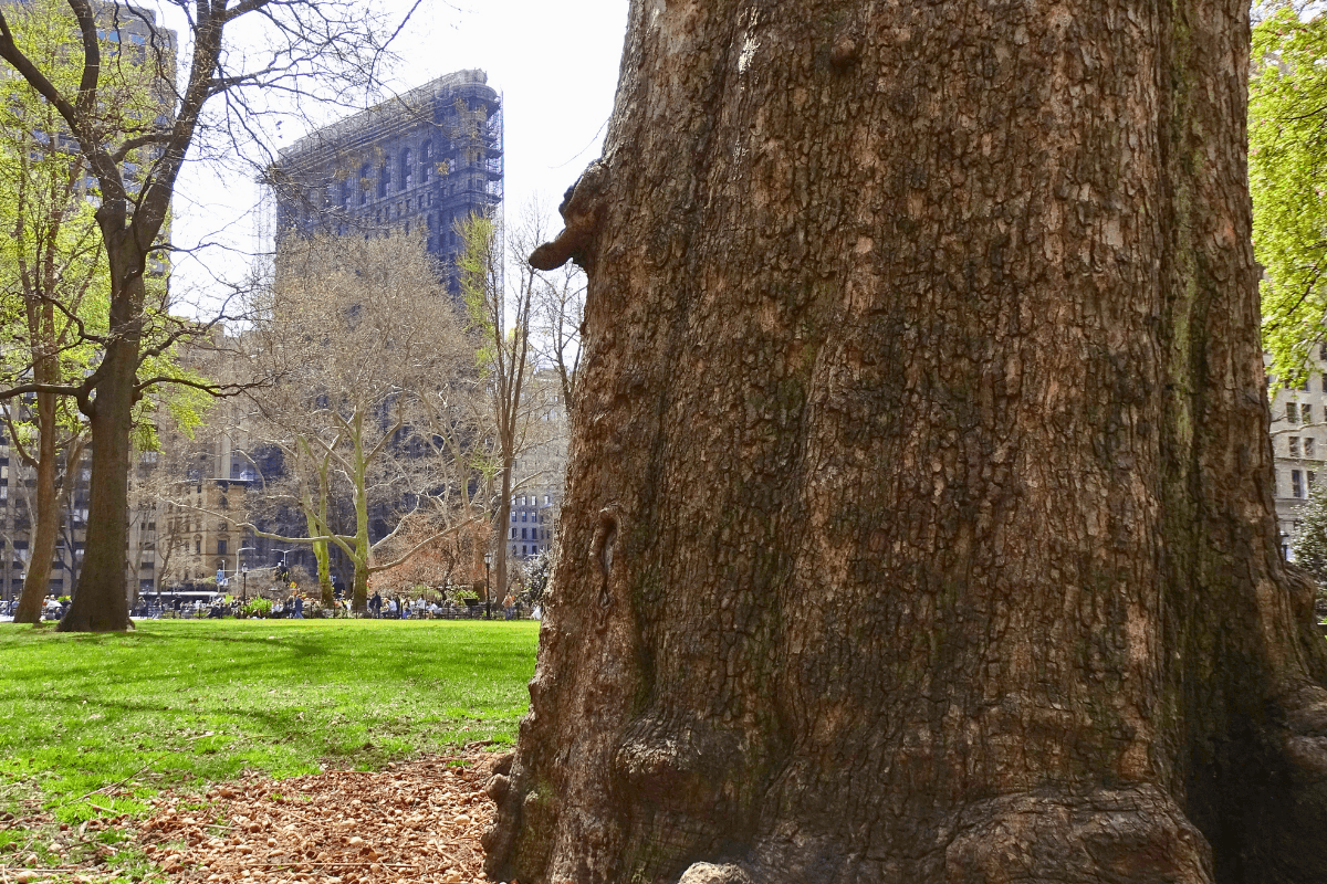 Email Headers 2023 2024 (23)