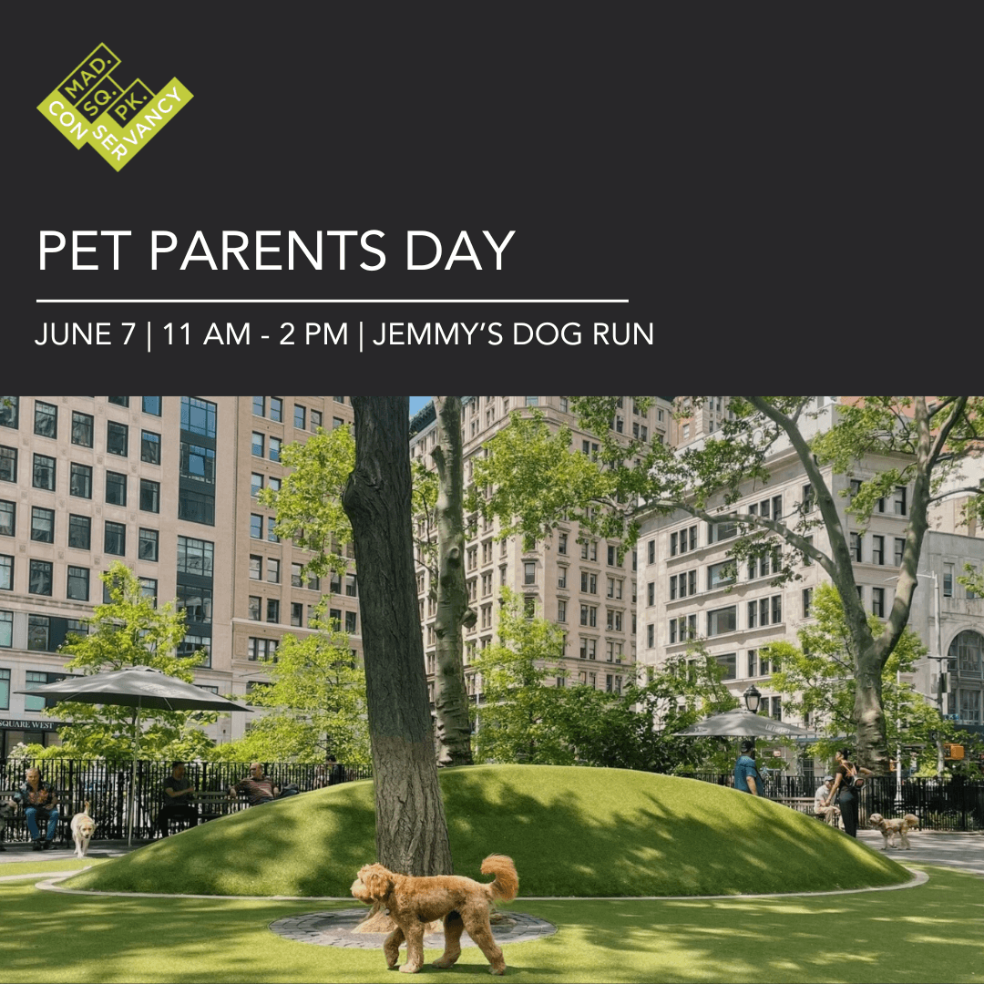 Website Event Images (16)