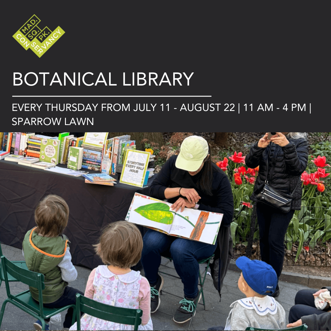 Website Event Images