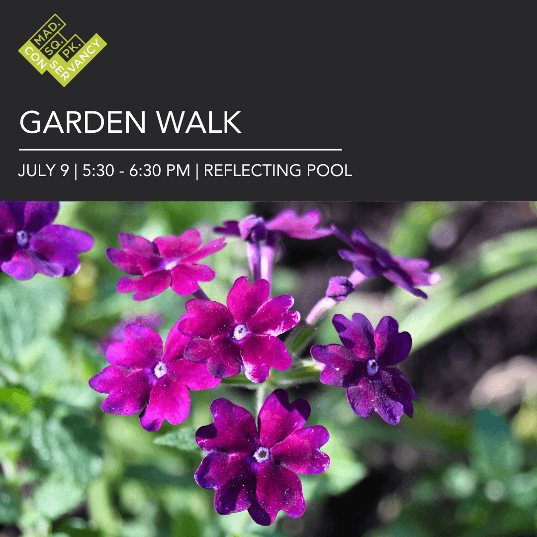 Website Event Images (37)