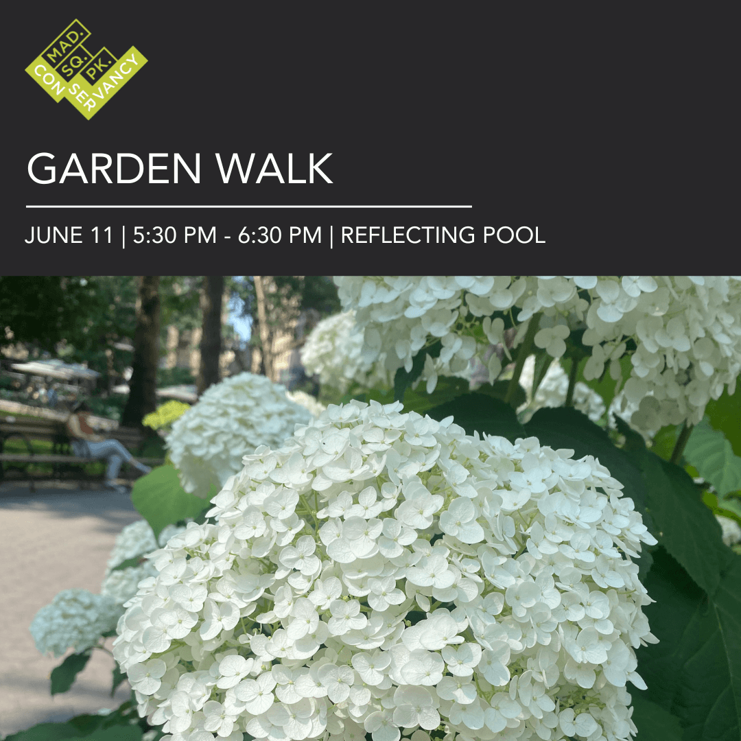 Website Event Images (4)