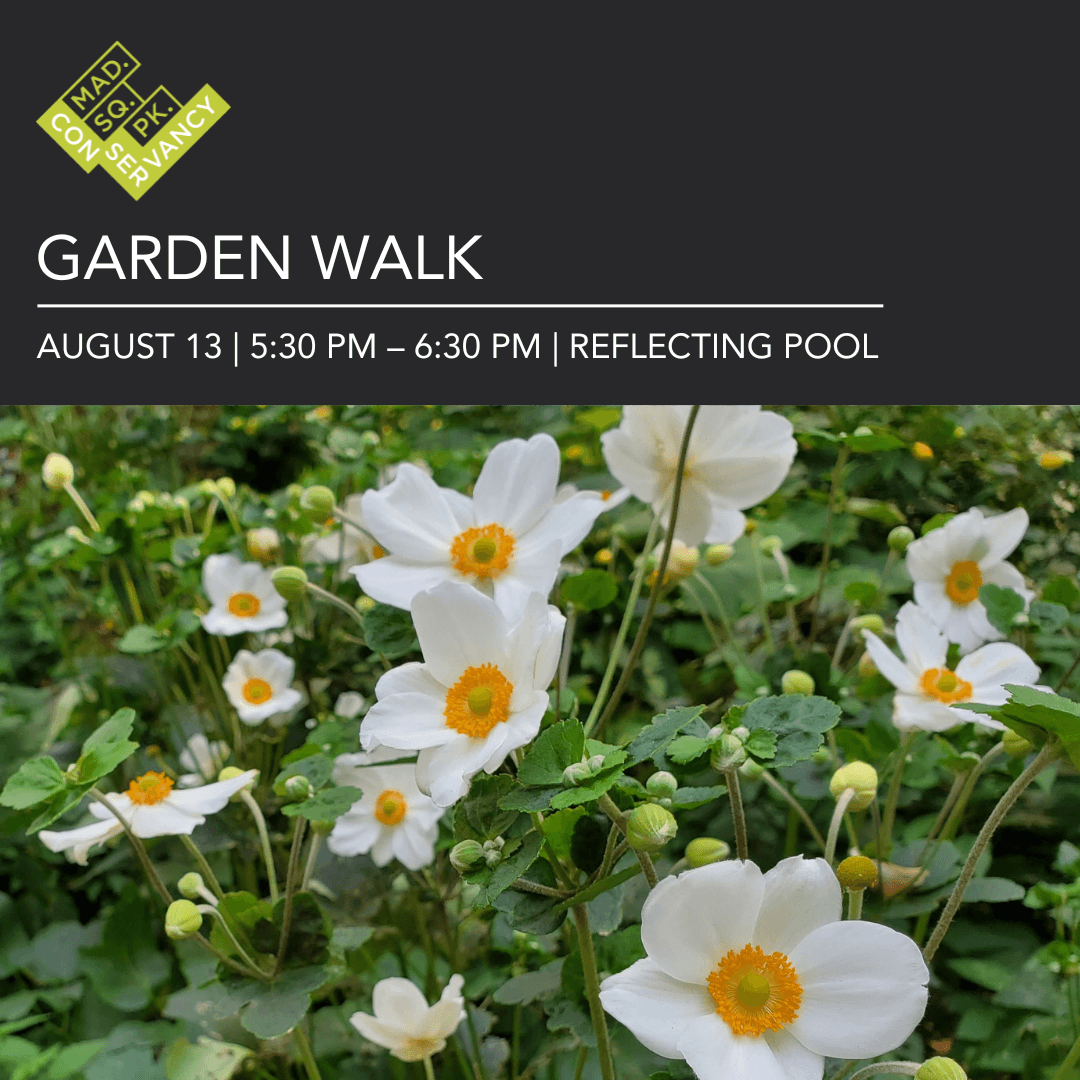 Website Event Images (12)