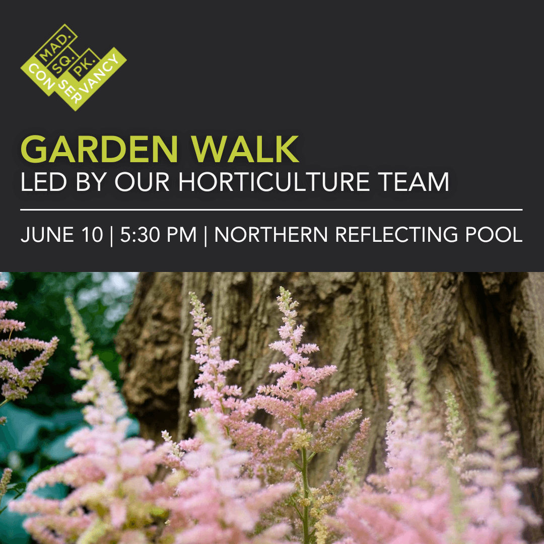 Website Event Images 2025 (56)