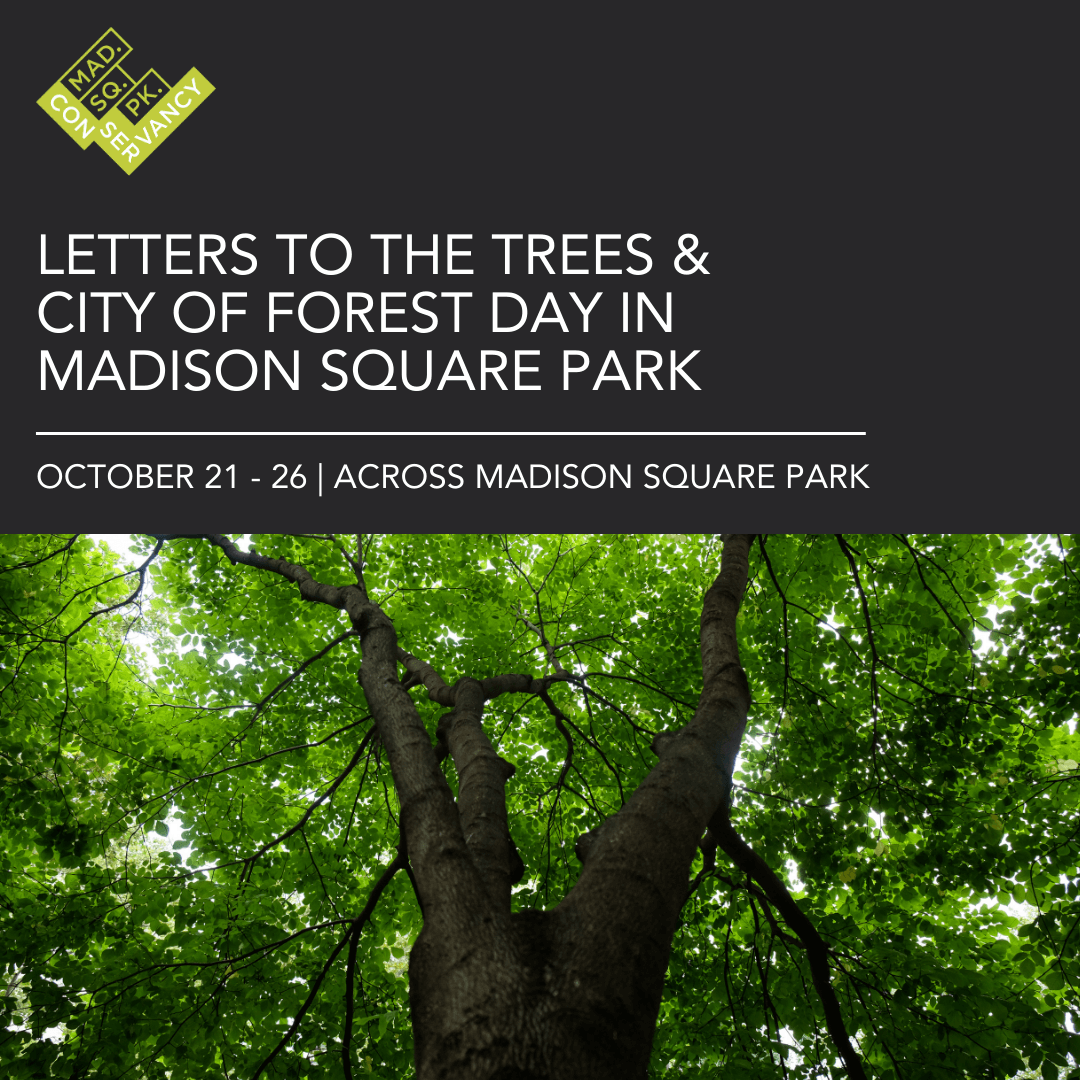 Website Event Images (89)