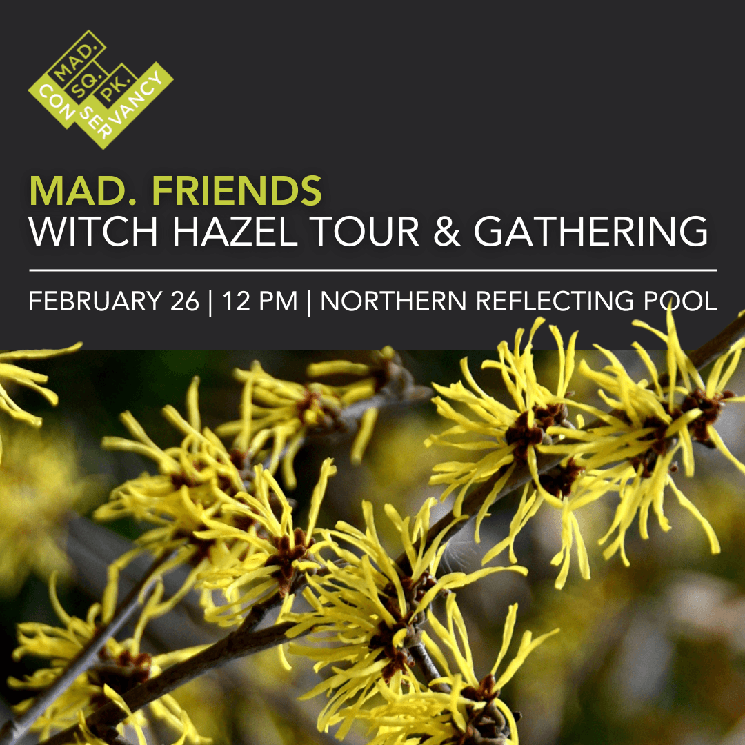 Website Event Images 2025 (12)