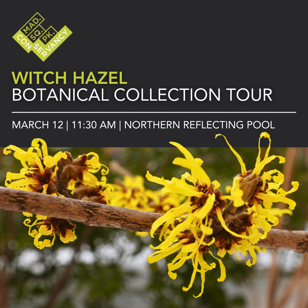 Website Event Images 2025 (20)