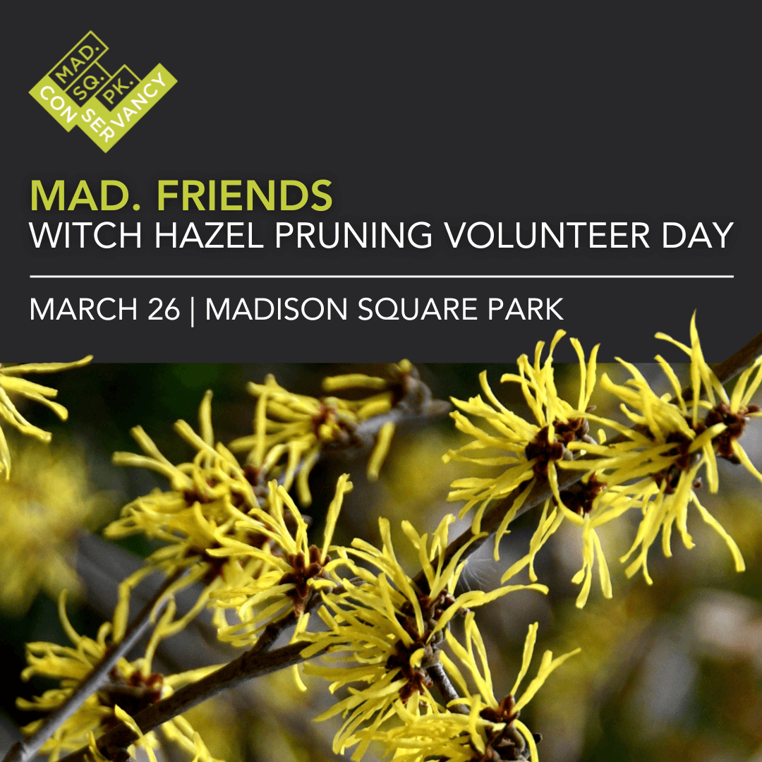 Website Event Images 2025 (22)