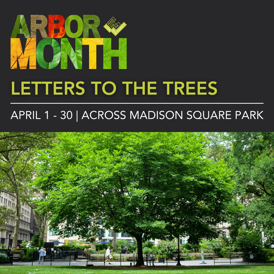 Website Event Images 2025 (23)