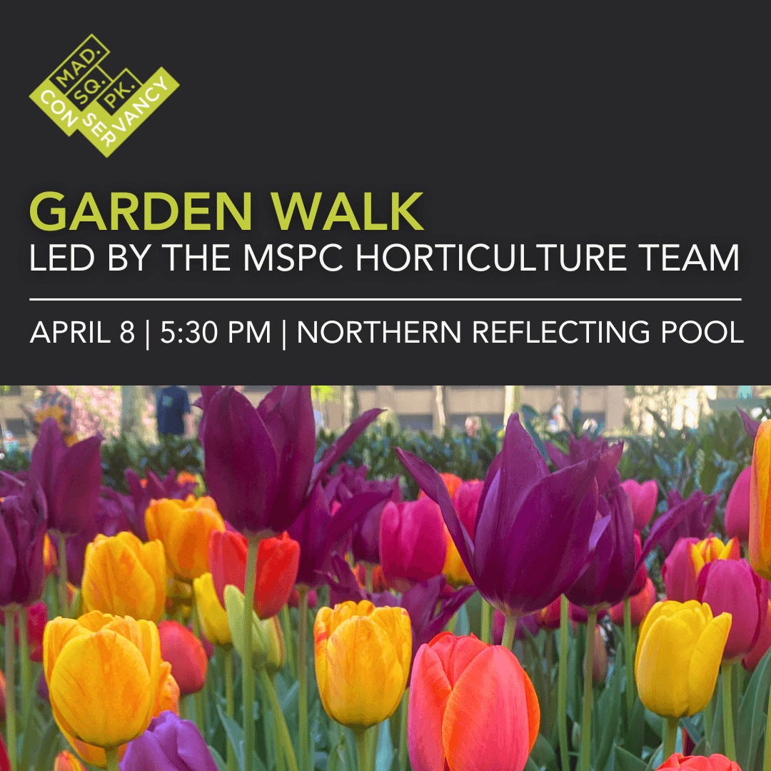 Website Event Images 2025 (24)