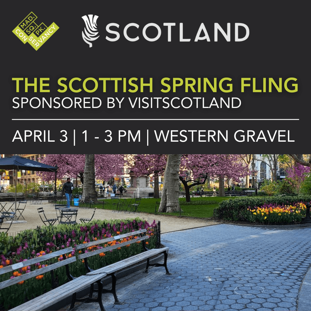 Website Event Images 2025 (29)