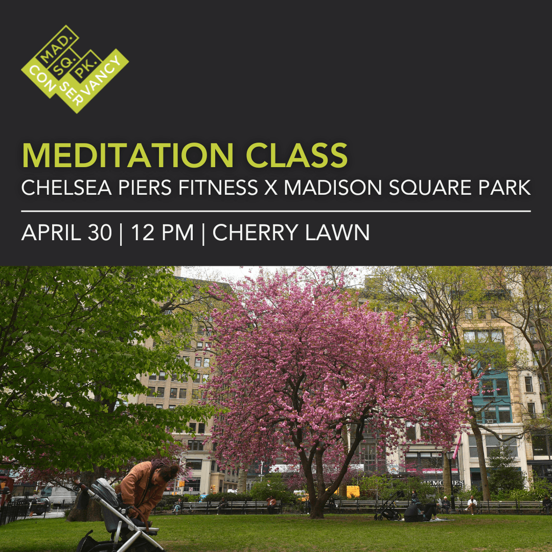 Website Event Images 2025 (41)