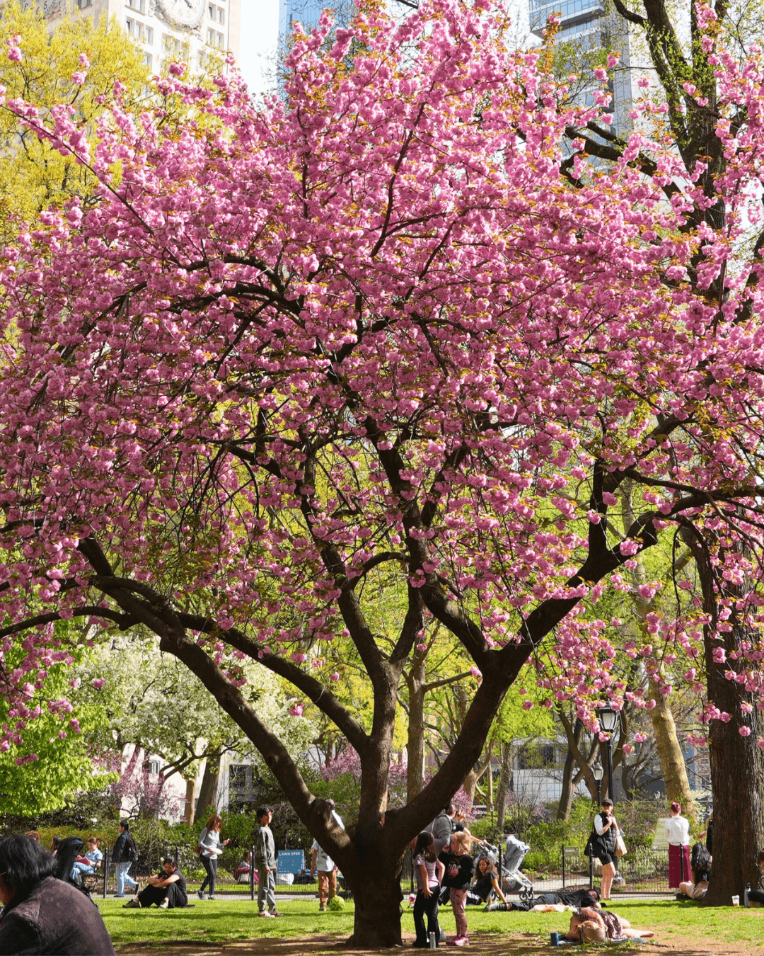 Mobile Hero Image (1)