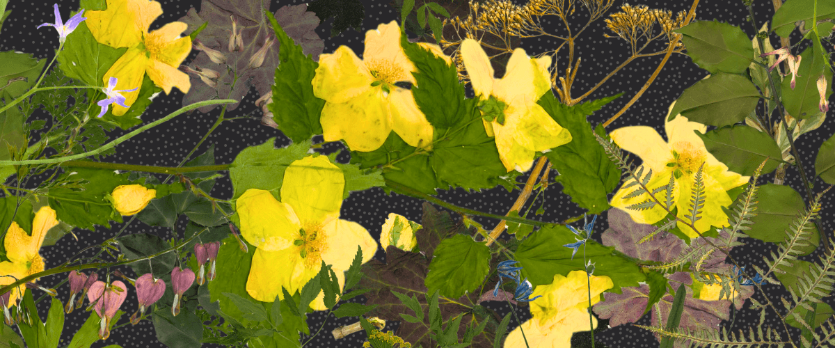 Newsletter 1200×500 Block (96)