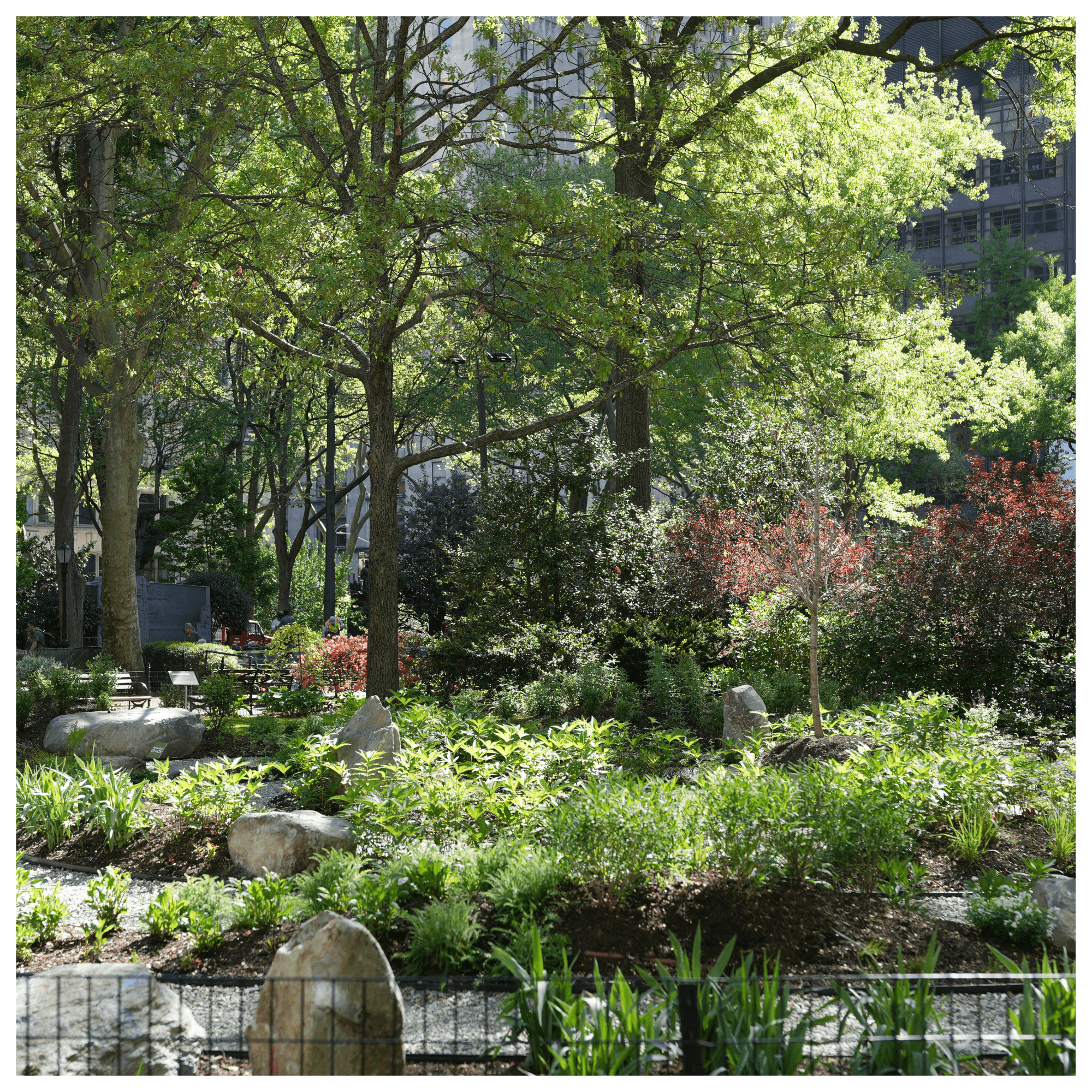 Untitled (Poster (Square))