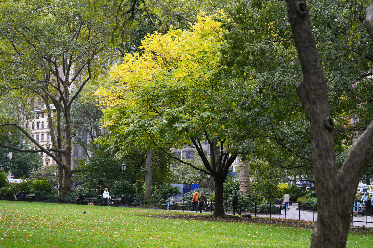 Email Header 1200 Wide (12)