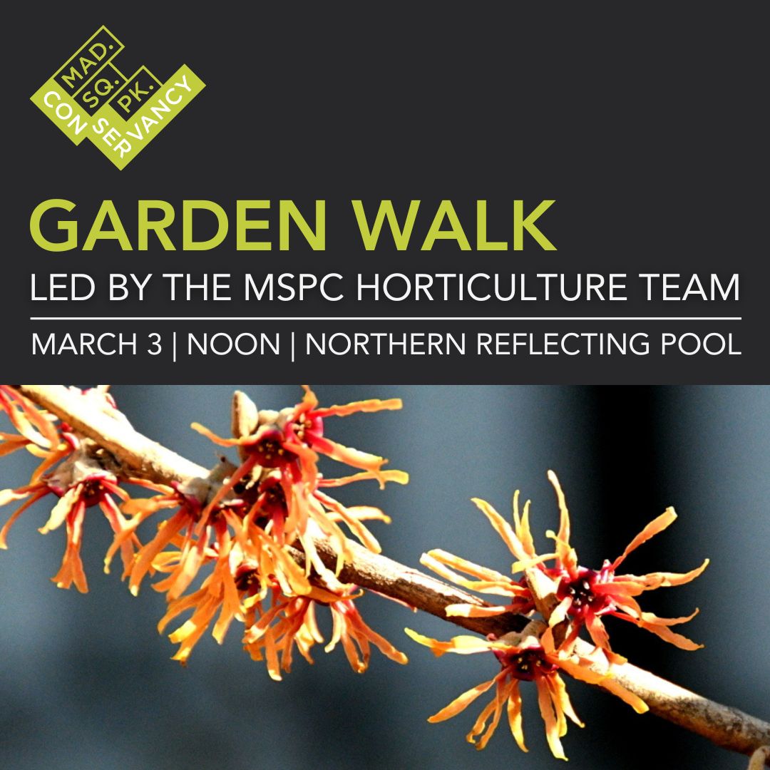 Website Event Images 2025 (10)