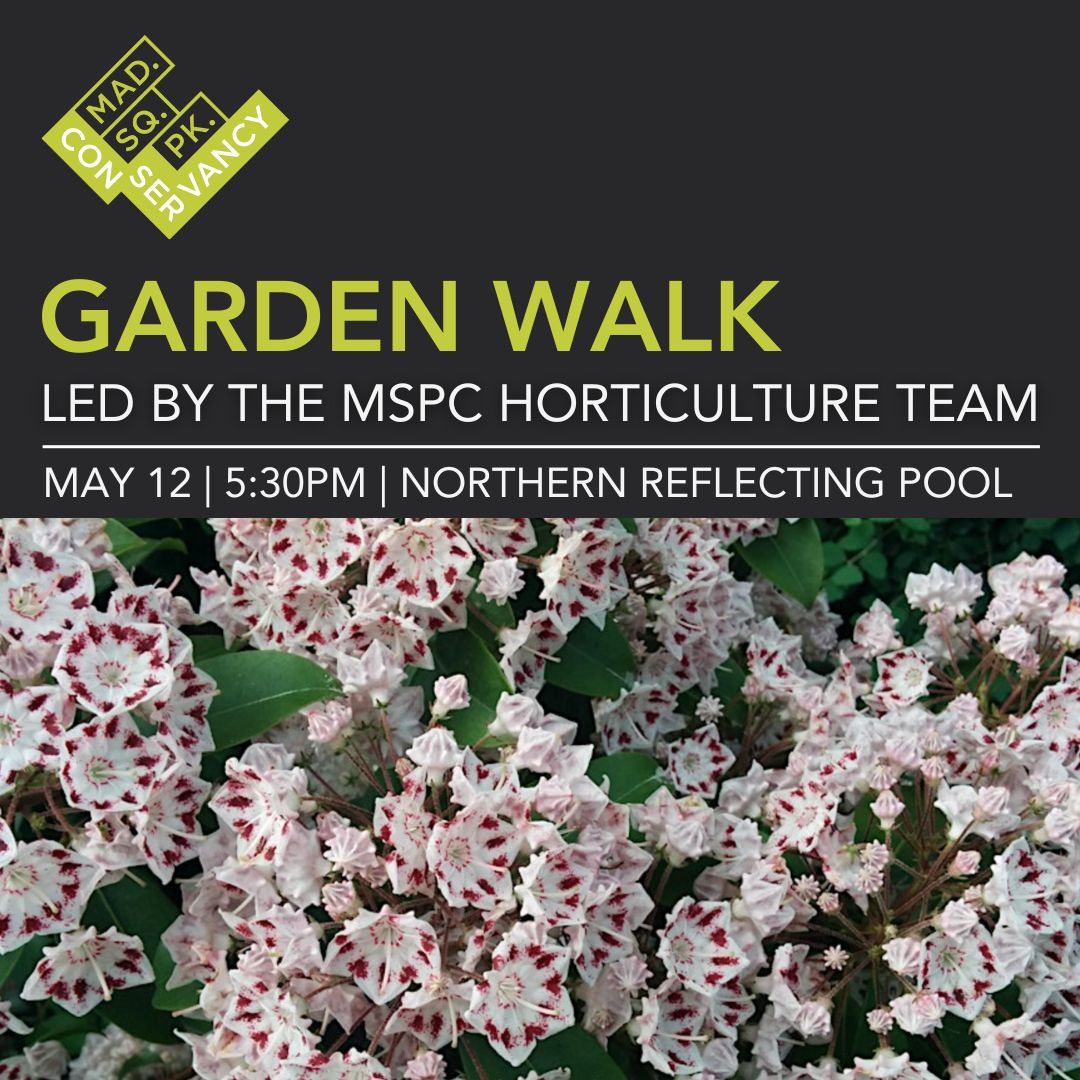 Website Event Images 2025 (12)