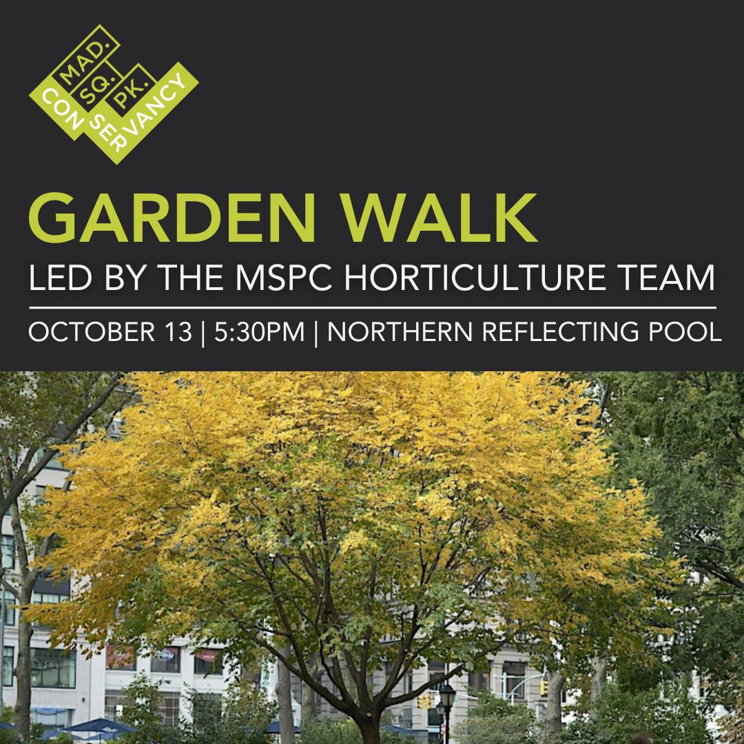 Website Event Images 2025 (17)