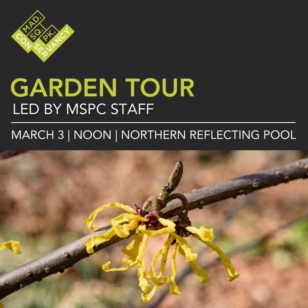 Website Event Images 2025 (2)