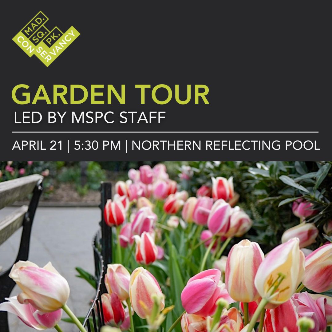 Website Event Images 2025 (3)