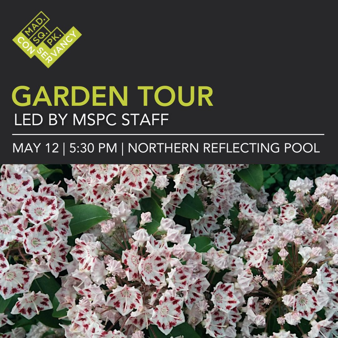 Website Event Images 2025 (4)