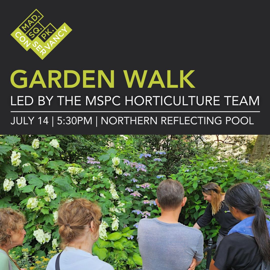 Website Event Images 2025 (47)