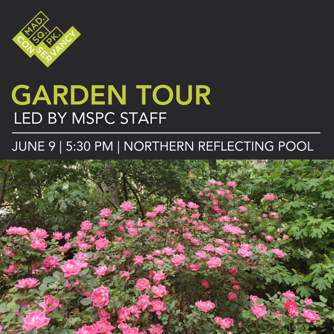 Website Event Images 2025 (5)