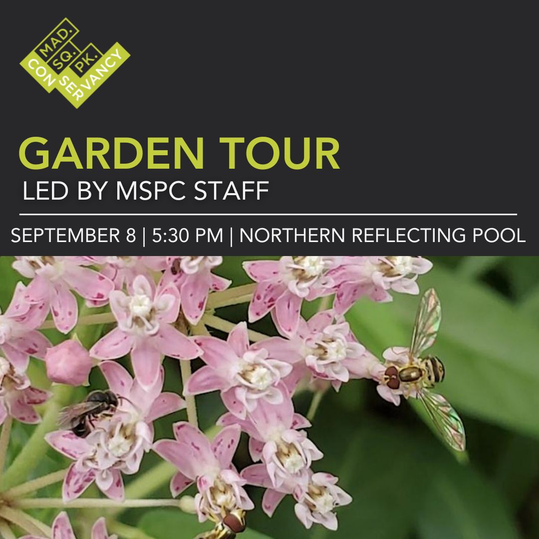 Website Event Images 2025 (8)