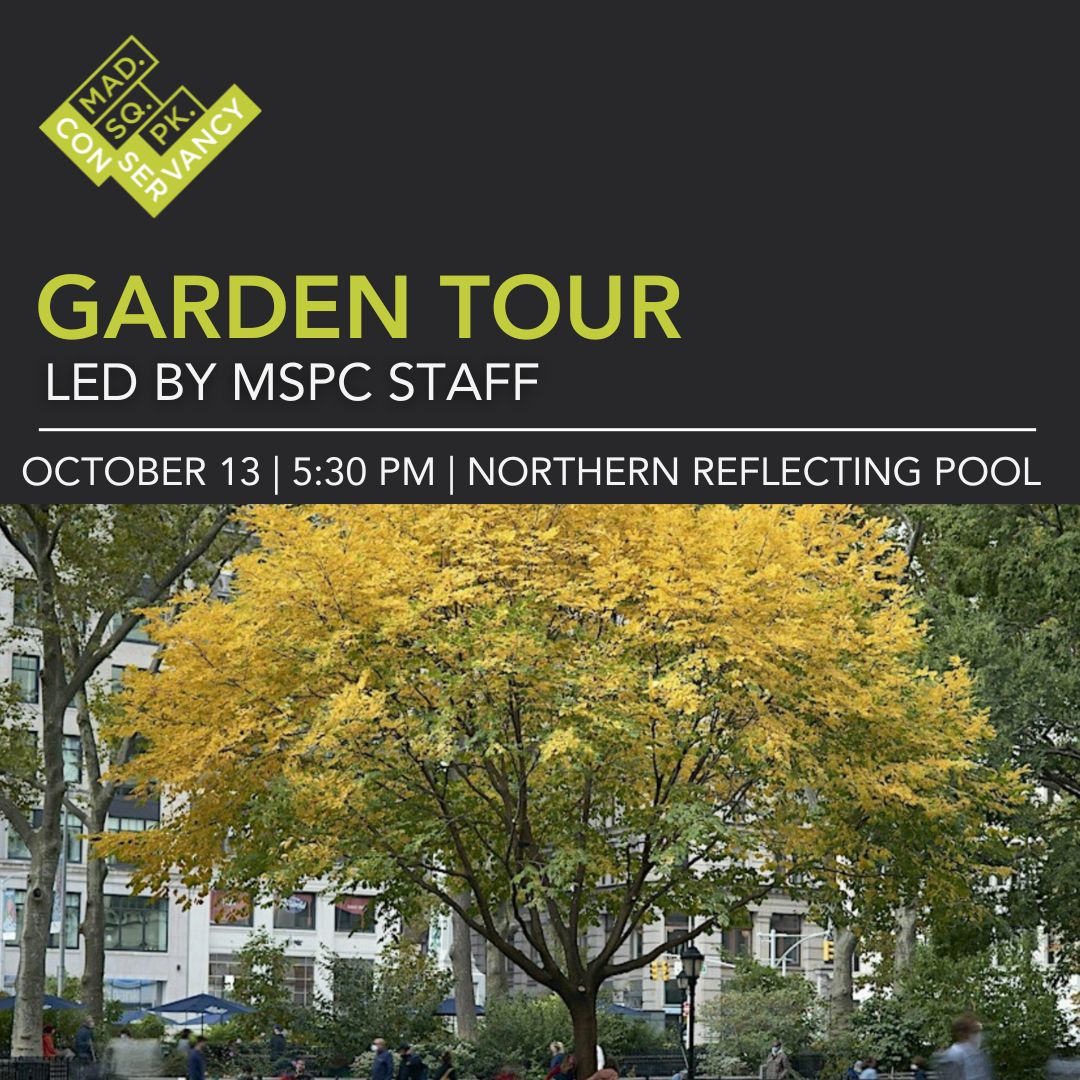 Website Event Images 2025 (9)