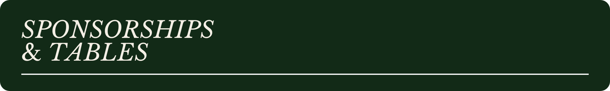 Thin Banner Gala (5)