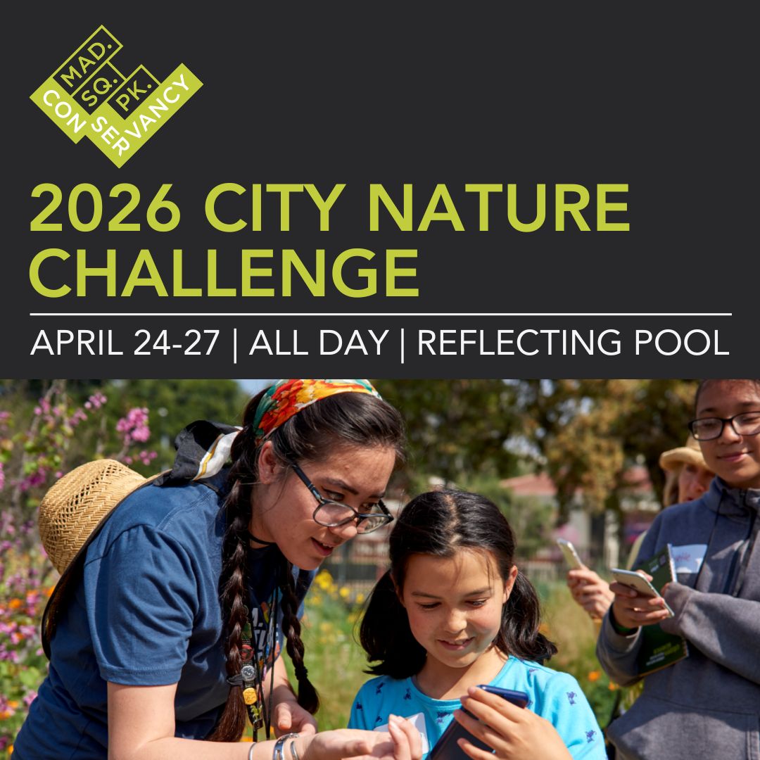 Website Event Images 2025 (43)