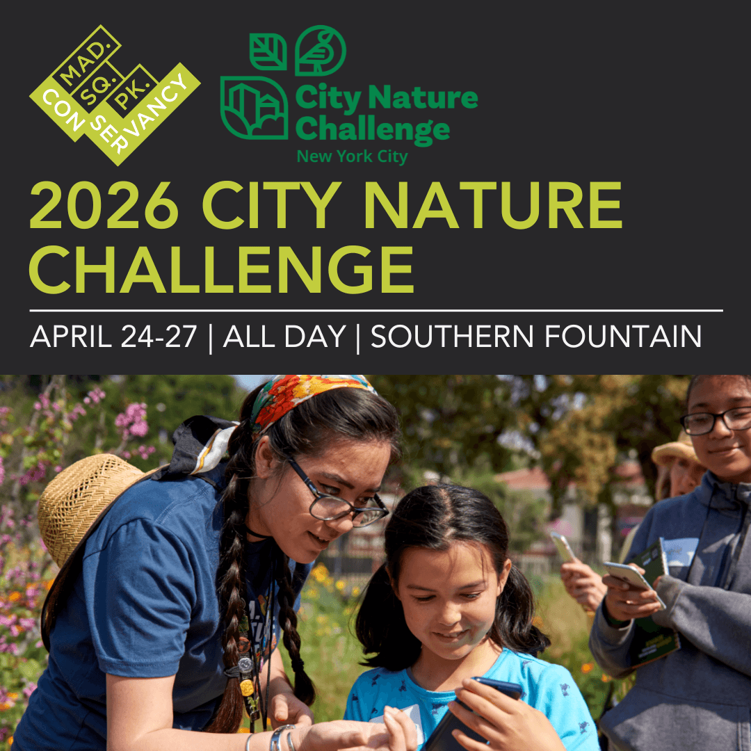 Website Event Images 2025