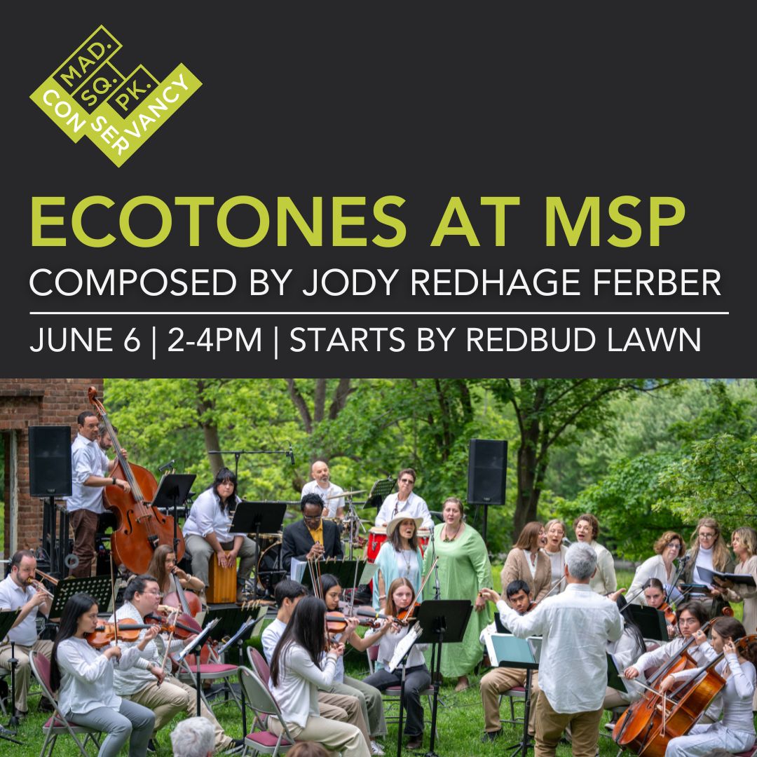 Website Event Images 2025 (52)