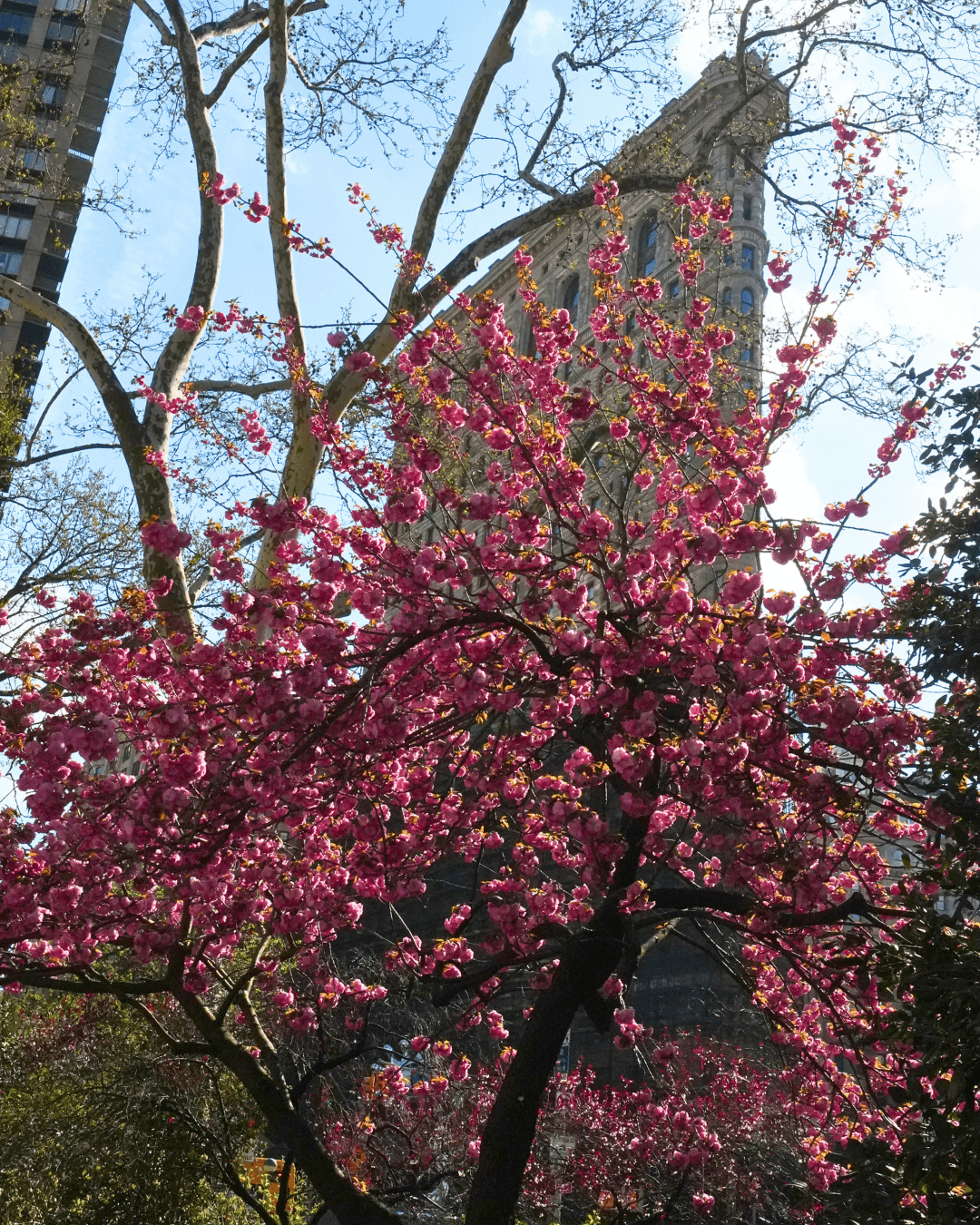 Mobile hero Image (5)