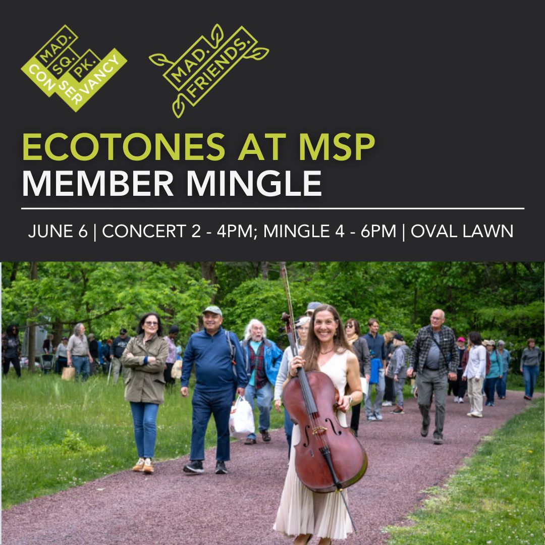 Website Event Images 2025 (51)