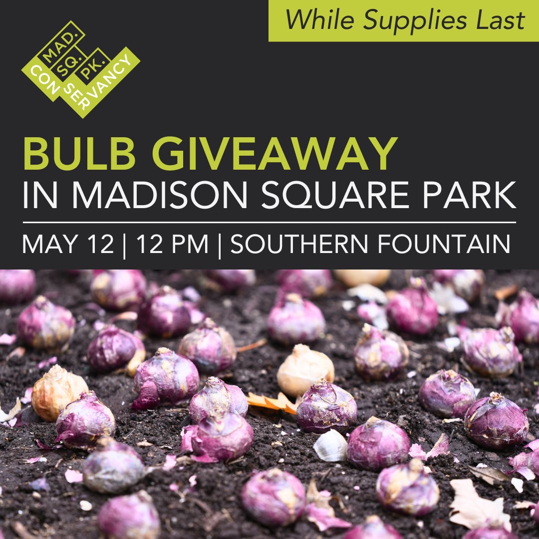 Website Event Images 2025 (51)